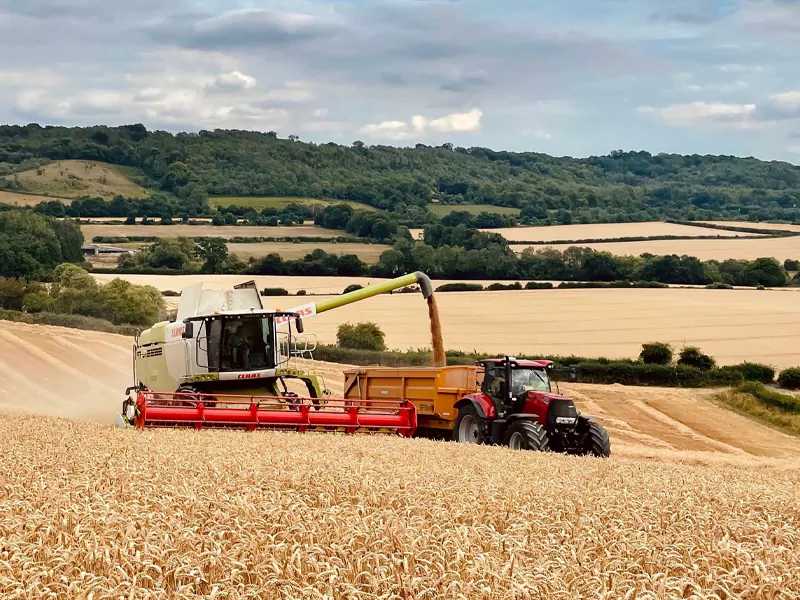 Farm harvest