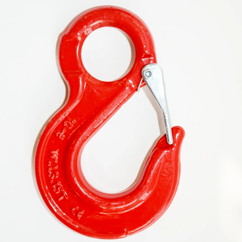 g80 eye sling hook with latch