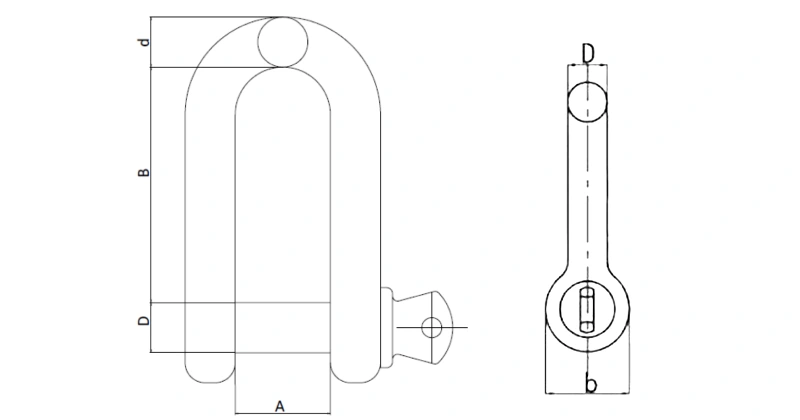 european type large dee shackle factory