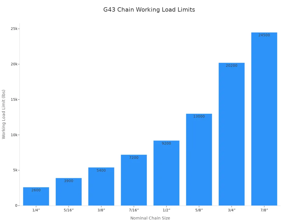 g43 chain working load limits