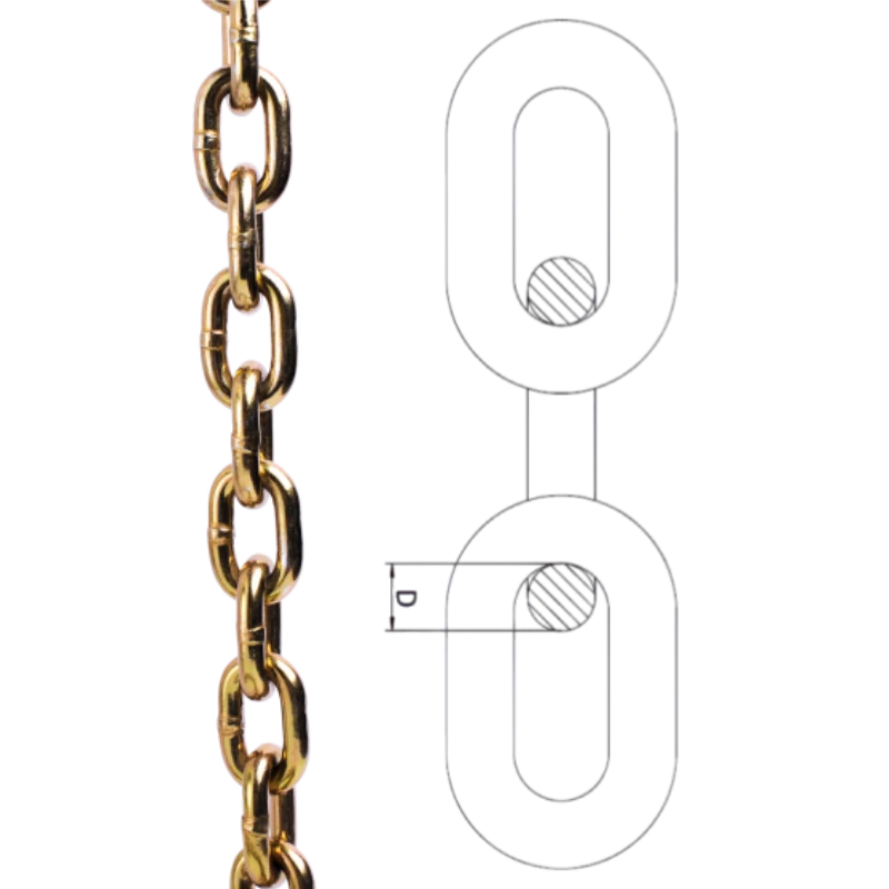 g70 transport chain