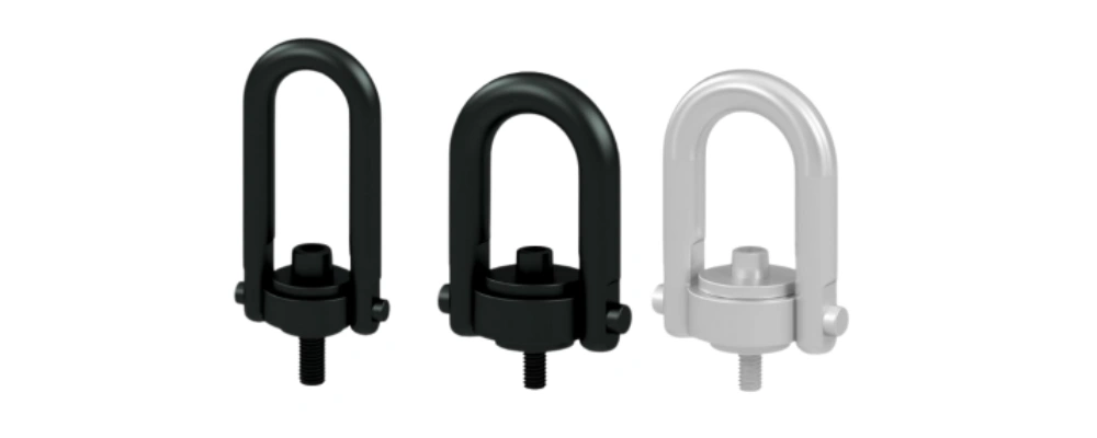 hoist ring types