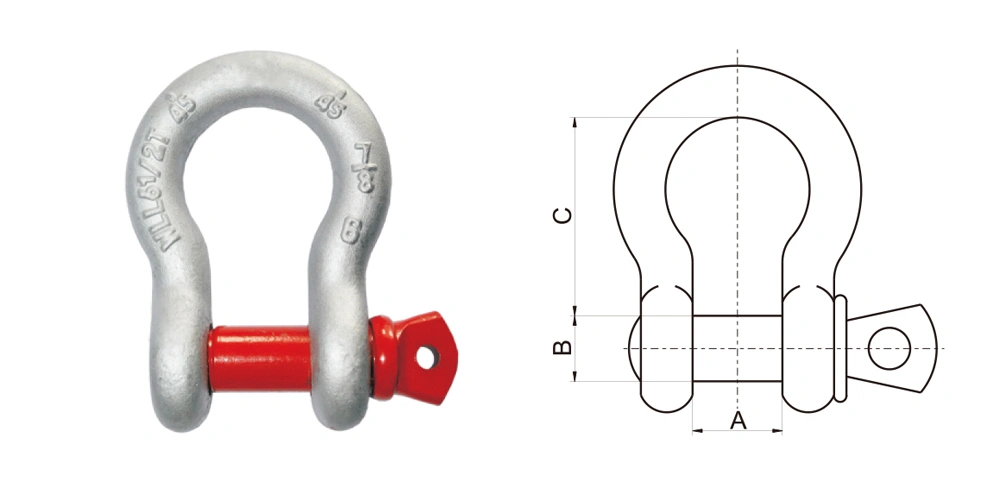 u shape and function