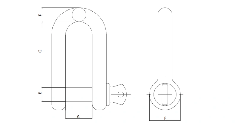 u.s. type drop forged g 210 screw pin dee shackle factory