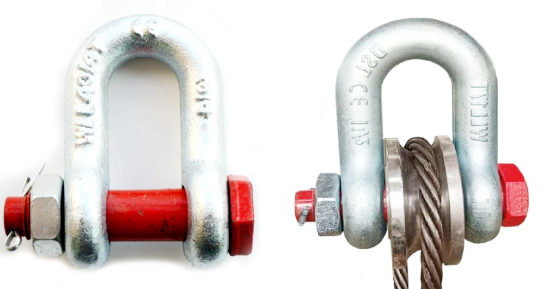 u.s. type drop forged g 2150 bolt type dee shackle manufacture