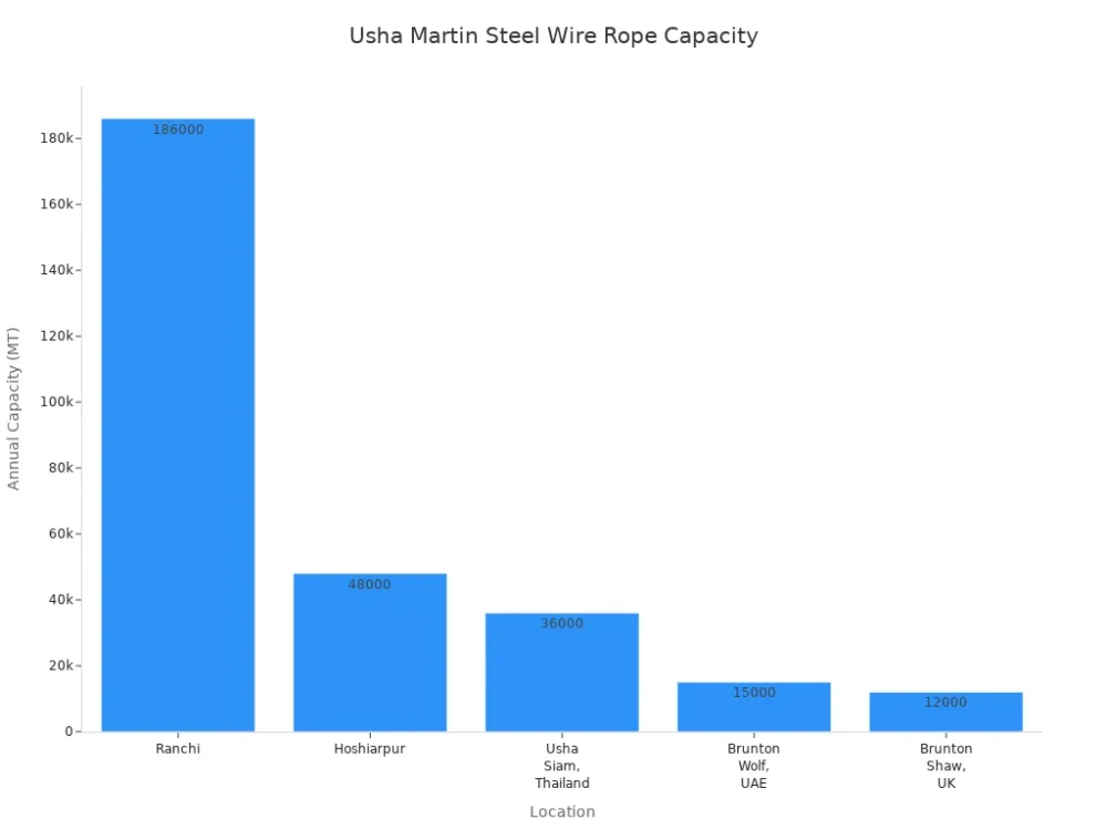 usha martin steel wire rope capacity