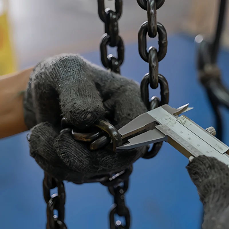 chain hoist inspection