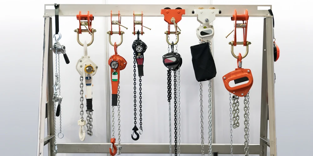 common types of hoists
