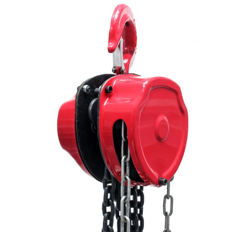 how much can a chain hoist hold