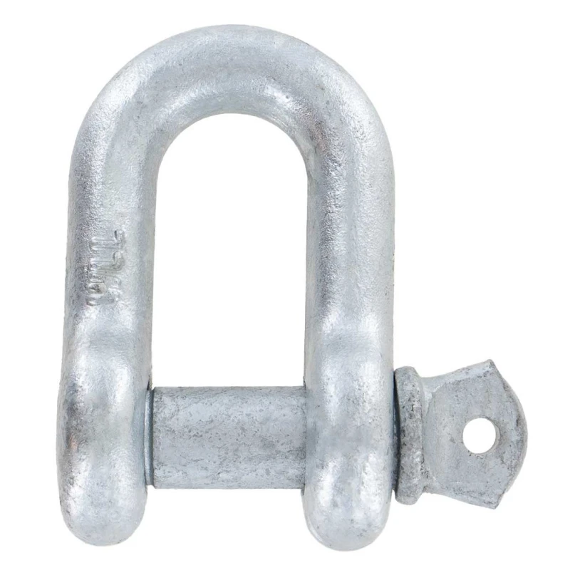 chain shackle