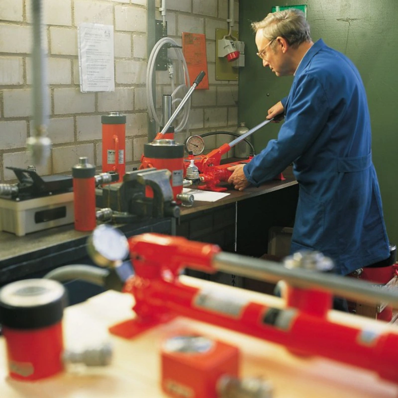 electric hoist repair​