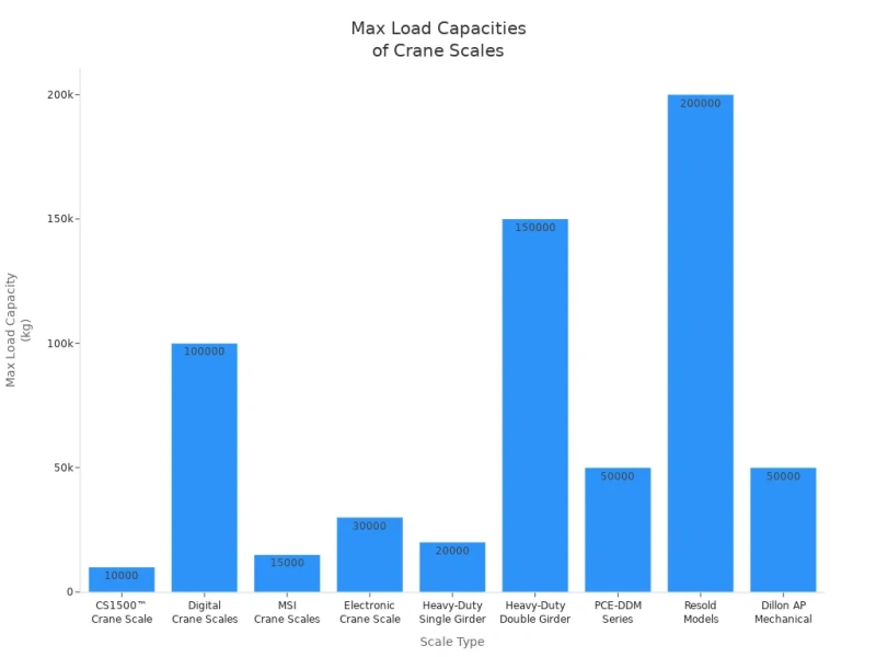 max load capacities of crane scales