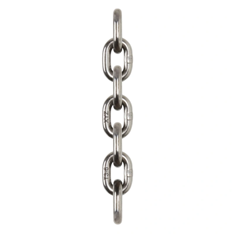 stainless steel hoist chain​