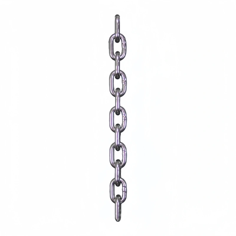 316 stainless steel transport chain​