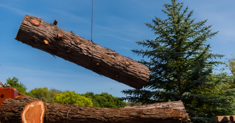 why proper logging chain selection matters